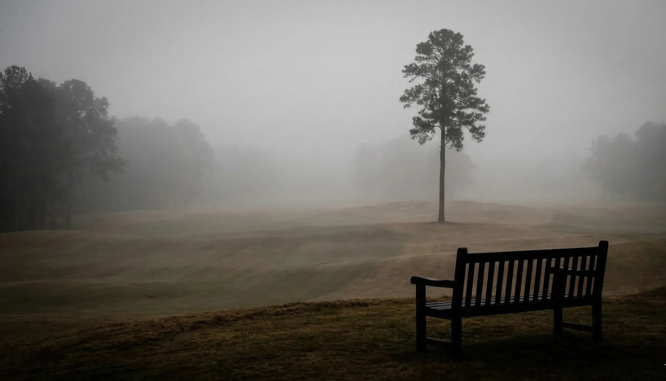 The business of presence represented by a quiet golf course bench
