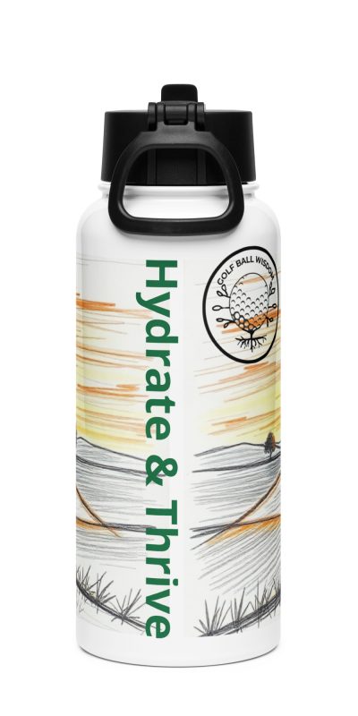 Stainless steel water bottle with a straw lid
