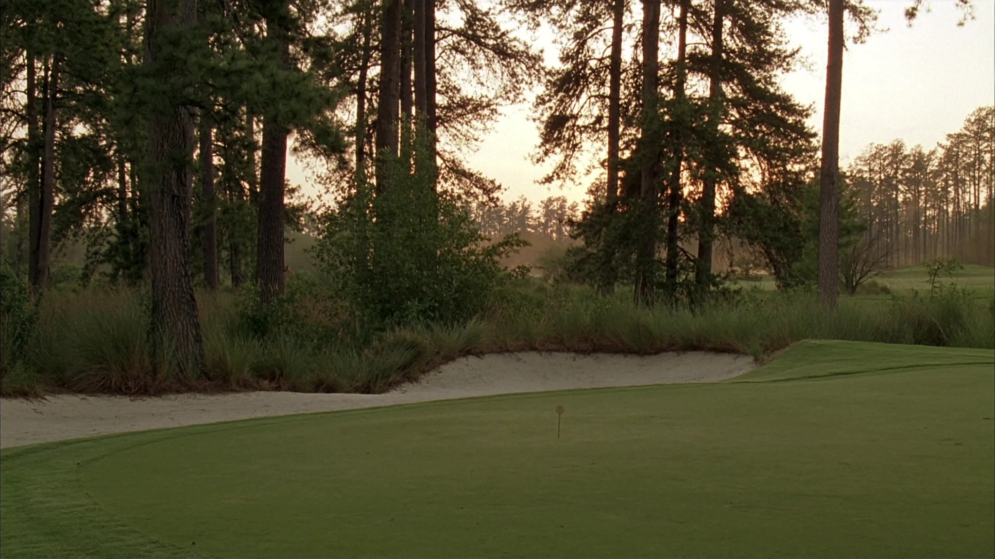 An empty first tee at dawn on a North Carolina Sandhills golf course with longleaf pines and light mist
